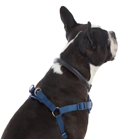 Good2Go Navy Padded Step-In Dog Harness - Picture 2 of 6